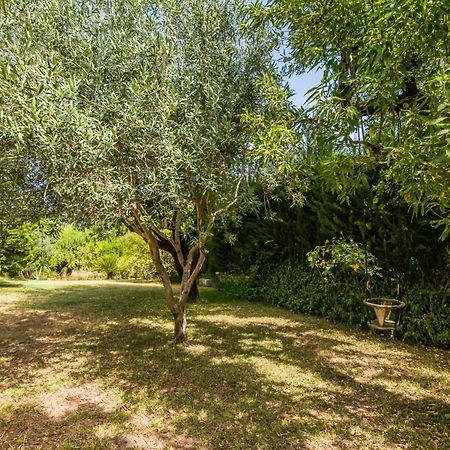 Гостевой дом Ideal Property Mallorca - Can Reure Инка Экстерьер фото